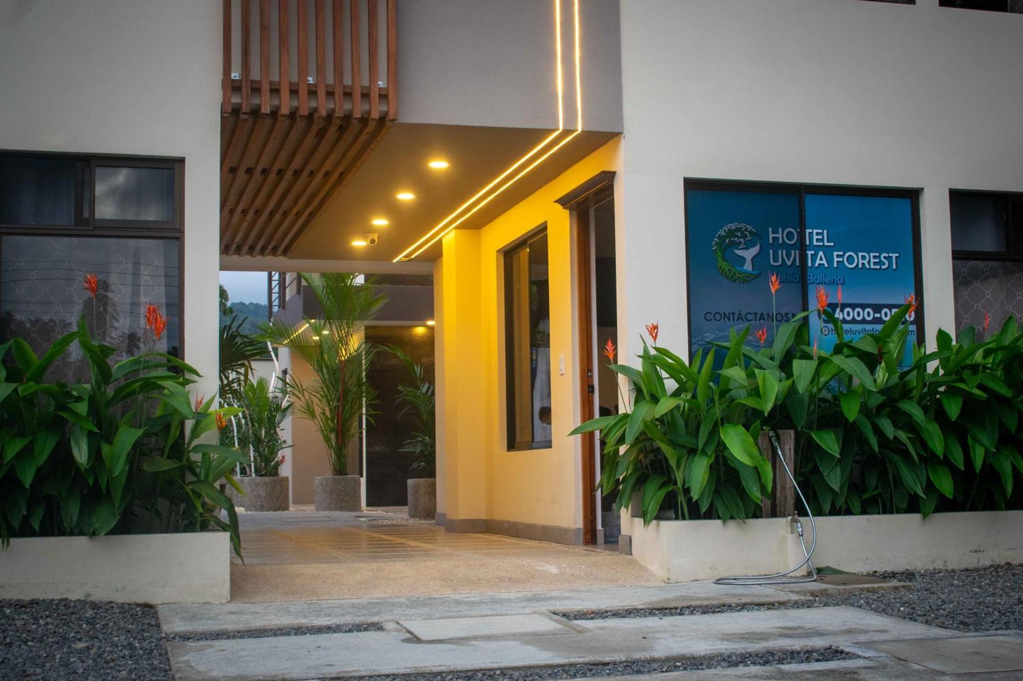 Hotel Uvita Forest Zewnętrze zdjęcie